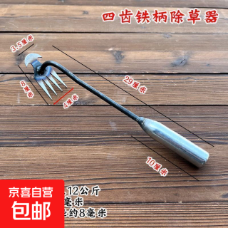新款拔草神器 尖齿耙子除草锄头 多功能锰钢工具 30cm铁柄