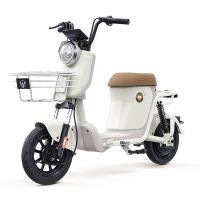 百亿补贴：绿源 电动自行车 新国标 48V24A 超长续航