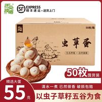 百亿补贴：舌尖攻略 高品质55-60g大鸡蛋散养虫草鸡蛋食虫子草籽