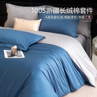 A类100支新疆长绒棉纯棉四件套 1.8床200*230cm