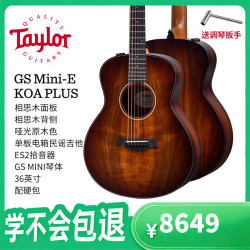 TAYLOR GS Mini E Koa Plus 面单旅行吉他 (吉他*1)