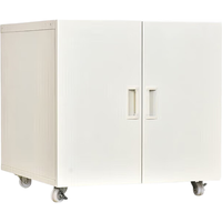  钱柜 活动柜 打印机柜 轮  长600mm;宽600mm;高600mm 2层