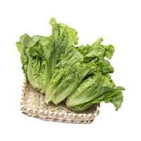 自然之星 有机红苋菜  有机生菜300g 0.25kg