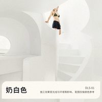 徳劳施 德劳施 微水泥 墙地一体涂料 1kg 奶白色