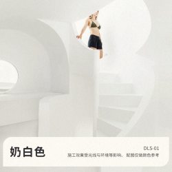 徳劳施 德劳施 微水泥 墙地一体涂料 1kg 奶白色