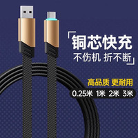 Repree PD快充 充电数据线