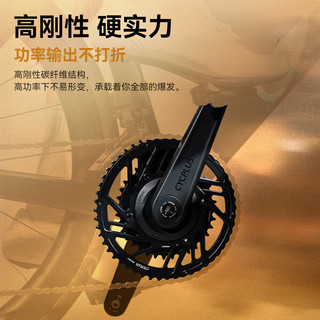  CYCPLUS/赛克加 高刚性轻量 功率计碳纤维曲柄牙盘盘片套装+功率计+碳曲柄+钛轴心