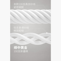  HECHTER 男士衬衫