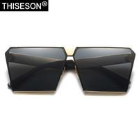  THISESON/砾石 偏光 女士太阳镜