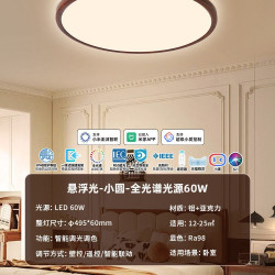 雷士 EDAS8655I-L 中古风吸顶灯 60W 胡桃木纹