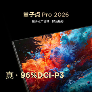 FFALCON 雷鸟 鹤6 Plus 26系列 85R69A Plus 液晶电视 85英寸 伸缩挂架