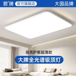 箭牌锁具 箭牌照明 LED吸顶灯 客厅卧室 北欧现代超薄简约
