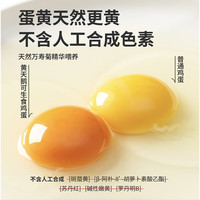 黄天鹅 可生食鸡蛋 212g 4枚