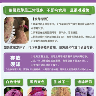 京觅 软糯香甜 紫薯 紫薯5斤100g+
