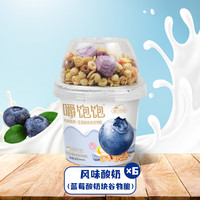 塘日塔格 生牛乳发酵 酸奶 水果谷物脆 蓝莓