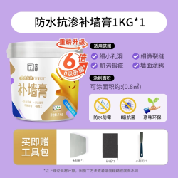 立邦 NIPPON PAINT 立邦 防水补墙膏 墙面修补膏 桔色