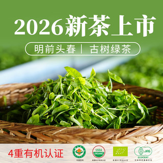  凤宁号 有机 古树绿茶 250g*1盒