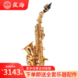 星海 XAS-110 中音萨克斯（降E调）