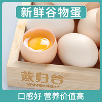 燕归谷 限时1小时 鸡蛋 10枚