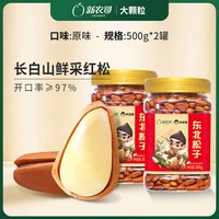 陈坚强 大颗粒 松子