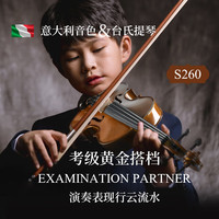 台氏 考级小提琴实木手工儿童初学者成人演奏级小提琴S260入门乐器1/8