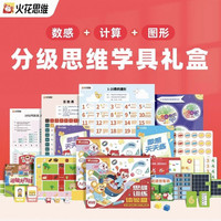 火花思维 逻辑思维赠学具礼盒