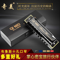 奇美 欧布奥特曼红凯同款10孔布鲁斯口琴 C调十孔蓝调口琴（黑色）