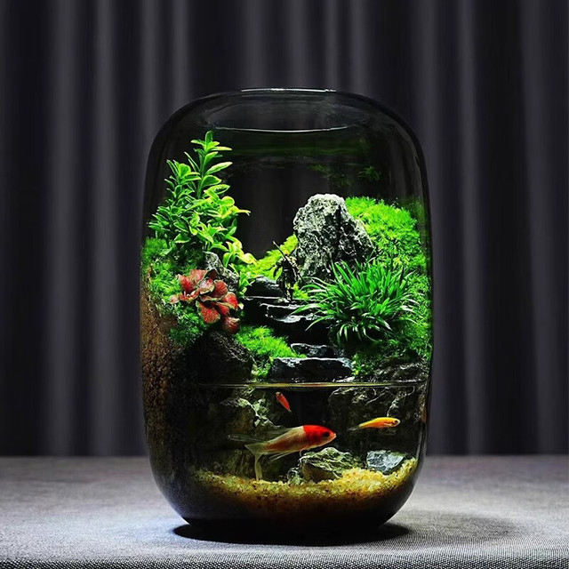 艾格辰 黑悟空鱼缸苔藓造景