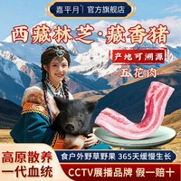 嘉平月 西藏林芝藏香猪五花肉 500g