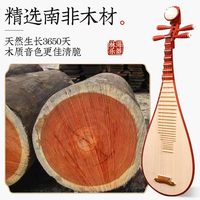  何佳功 考级 儿童琵琶