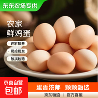 东东农场 国产鲜鸡蛋 40g左右/枚 20枚装800g+（纸箱包装）