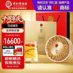 同仁堂 冬虫夏草 100g 5条/g 礼盒
