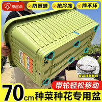 原起点 种菜专用盆蔬菜种植箱 70*40*30cm带轮视窗款-绿 升级款第三代