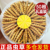 慈药山冬虫夏草藏区雪域虫草3根一克干货冬虫草50 50根 礼盒装