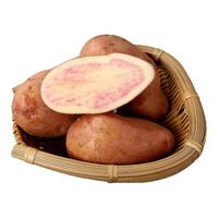  中鲜生 新鲜 七彩土豆