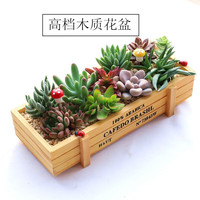 花艺萌 创意拼盘 多肉植物组合盆栽 木盒