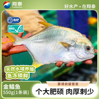 翔泰 无公害金鲳鱼 550g