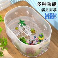 极乐鸟 乌龟饲养缸带晒台生态造景爬台家用小造景养龟生态缸乌龟专用缸