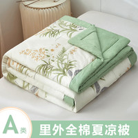 云瑾 里外全棉夏凉被被子亲肤纯棉空调被夏季可机洗薄款棉花被