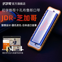 嘉德瑞 JDR嘉德瑞布鲁斯蓝调十孔口琴10孔C调芝加哥初学者入门专业paddy