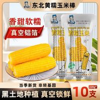 邹有才 东北黏糯玉米棒 真空装 新鲜甜玉米棒