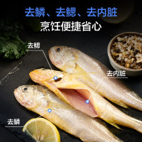 今日必买：1号会员店 舟山海捕三去小黄鱼800g 黄花鱼 深海鱼