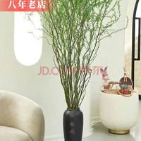 雅卉 龙柳干树枝水培植物 1.5米 20枝