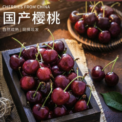 京鲜生 大连美早樱桃车厘子 超级巨无霸4J级 2斤礼盒装 单果15g+