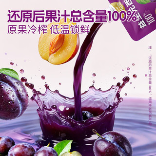 生和堂 益生元西梅汁 6种益生元 120ml*10袋