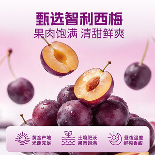 生和堂 益生元西梅汁 6种益生元 120ml*10袋