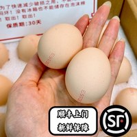  鹏昌 无抗 可生食鸡蛋