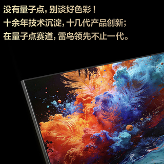 FFALCON 雷鸟 鹤6 Ultra 26系列 98R69A Ultra 液晶电视 98英寸 伸缩挂架