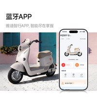  Yadea/雅迪 长续航 电动自行车