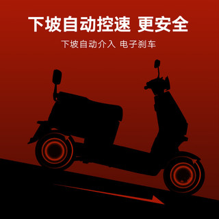  Yadea/雅迪 长续航 电动摩托车